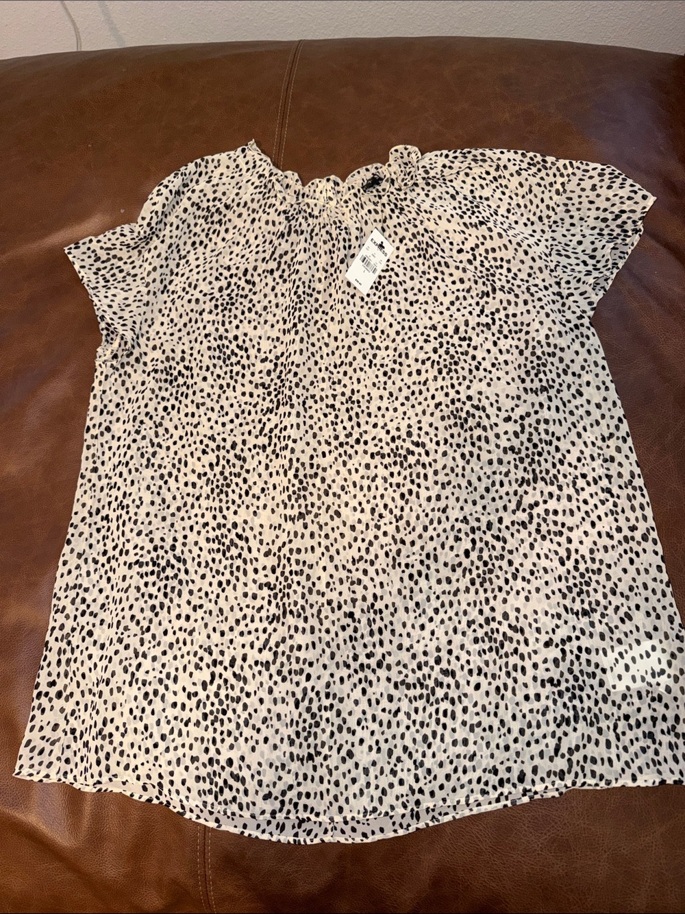 Express Cream and Black Dot Print Short Sleeve Blouse
